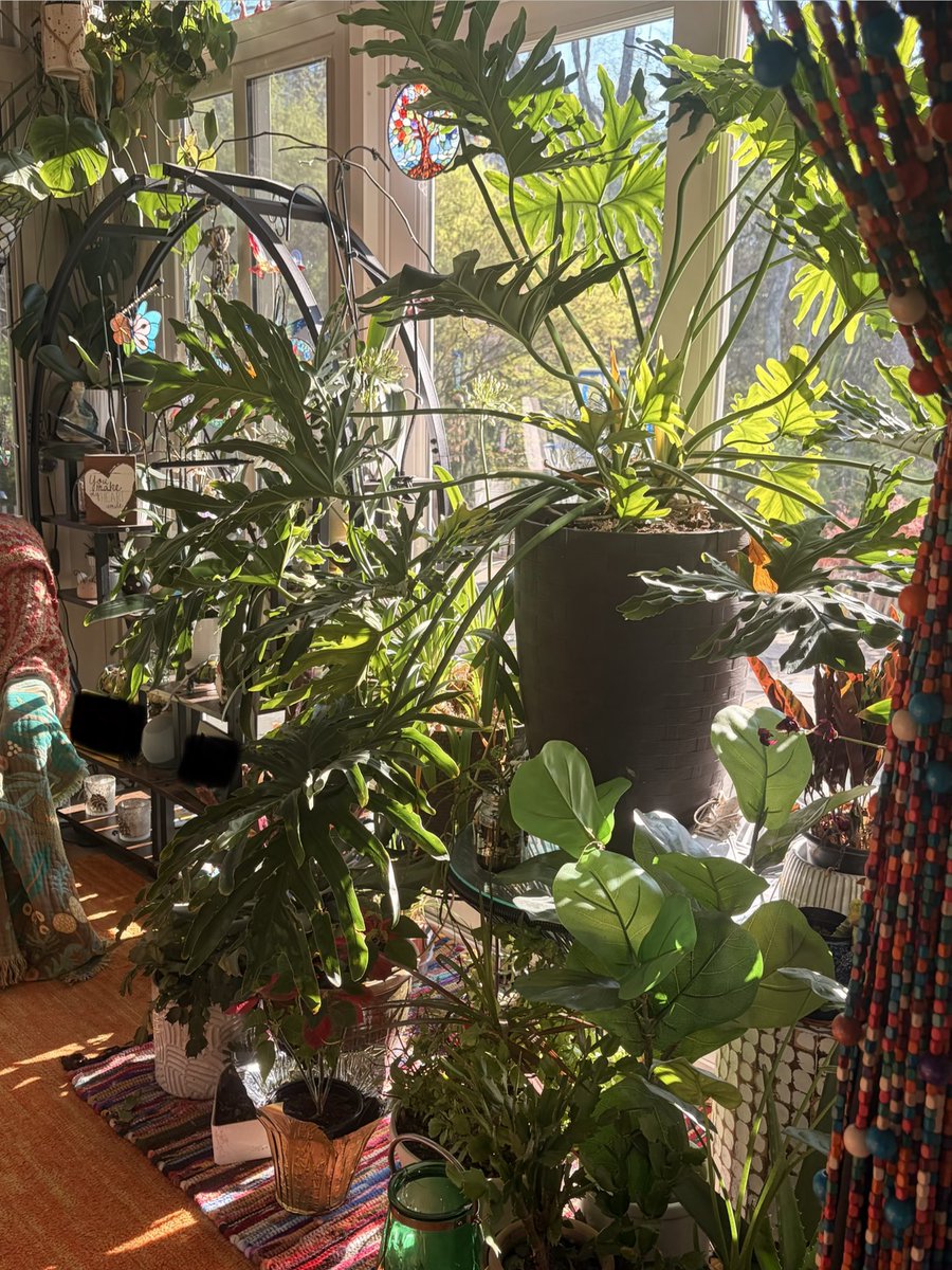 the guy ⊹܀˙ tweet media