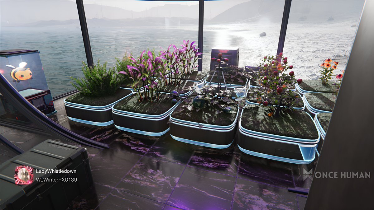 mominchat tweet media