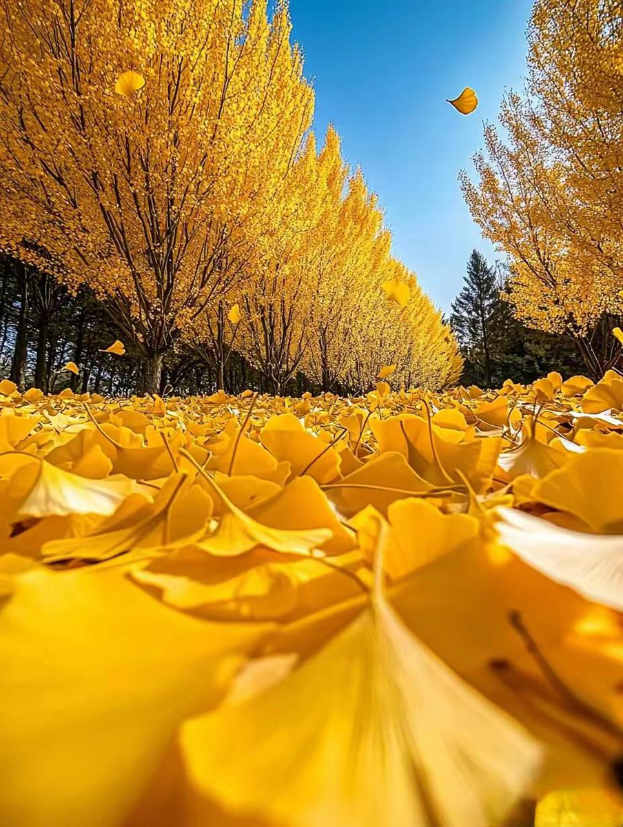 Jessica Belyea tweet media