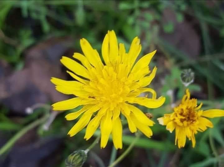 Arnau Cabeza Garrido tweet media