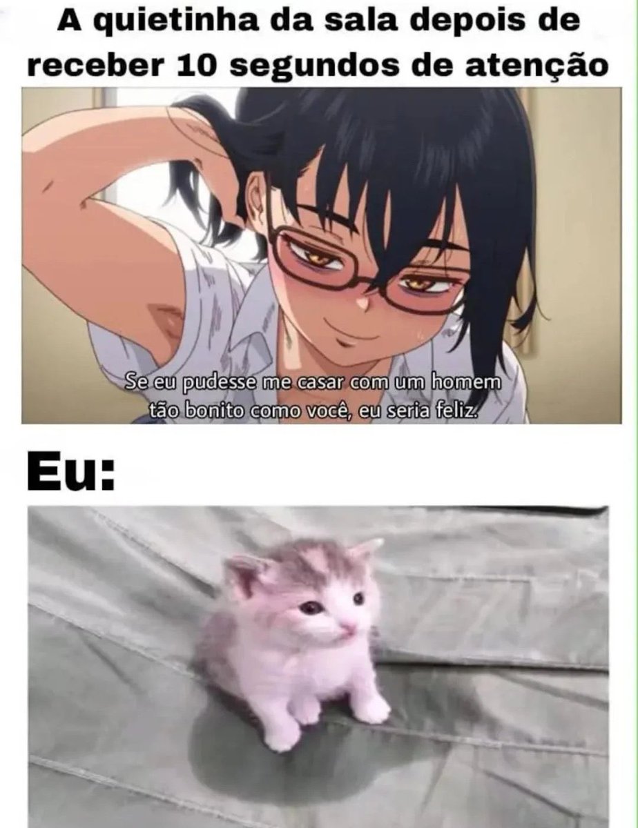 MemesEsquizo🌲 tweet media