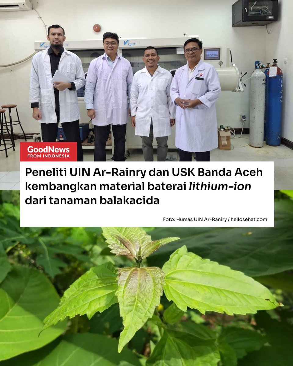 Good News From Indonesia tweet media