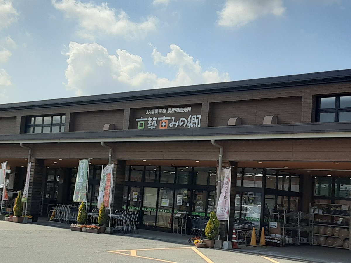 稲葉能美@バ美肉稲作農家 tweet media