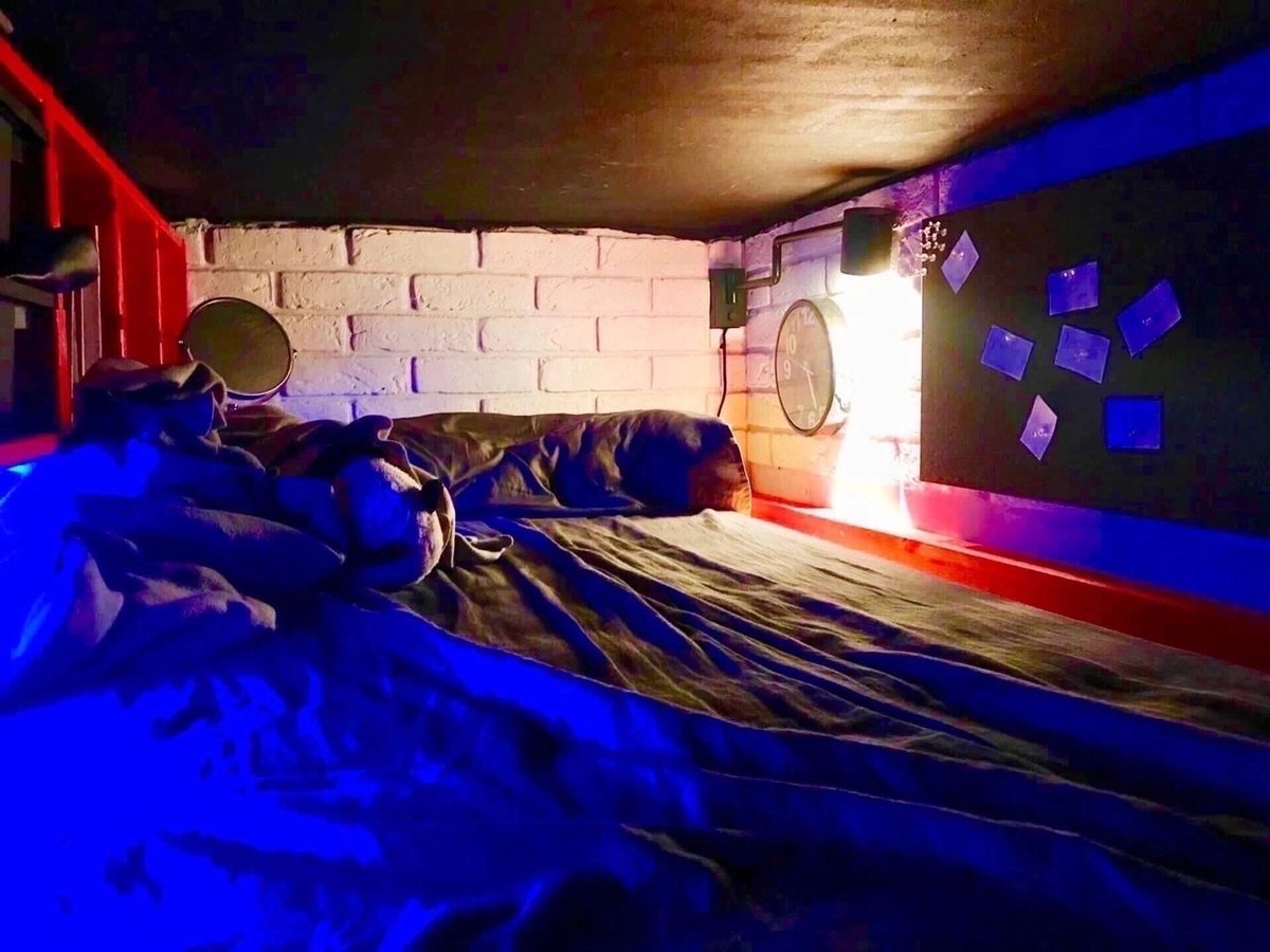 Ультравасилий и кот 𝕏 tweet media