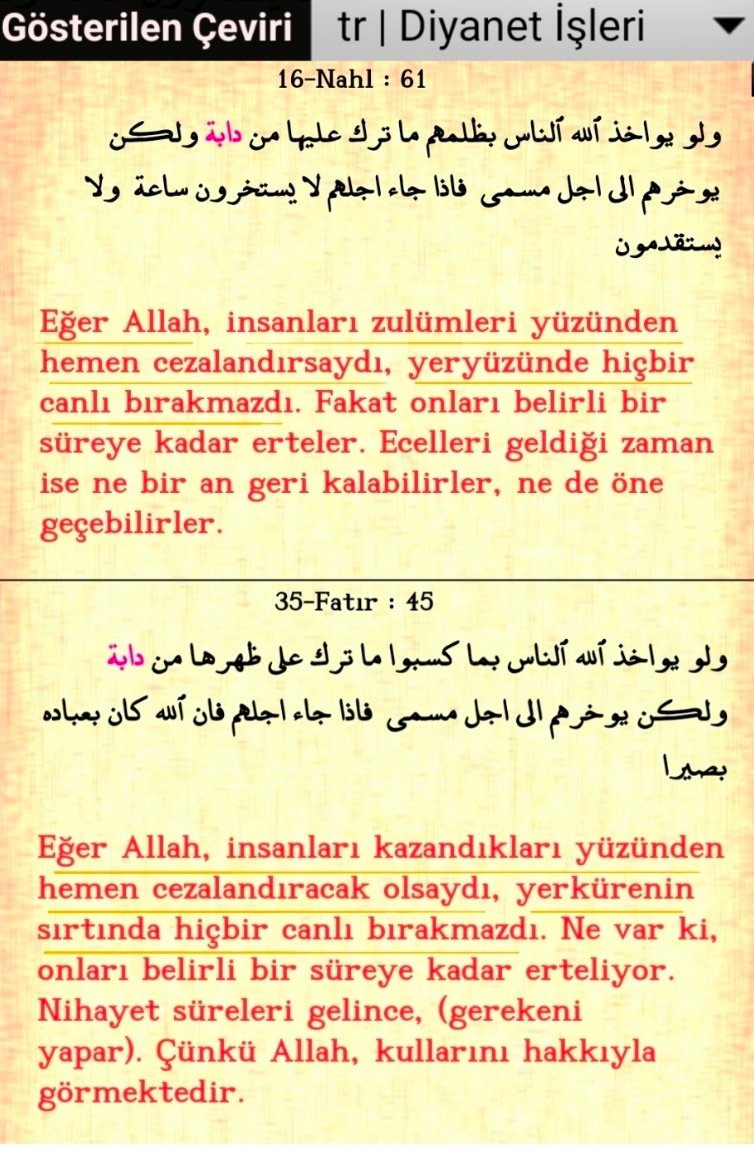 Erdal Serce tweet media