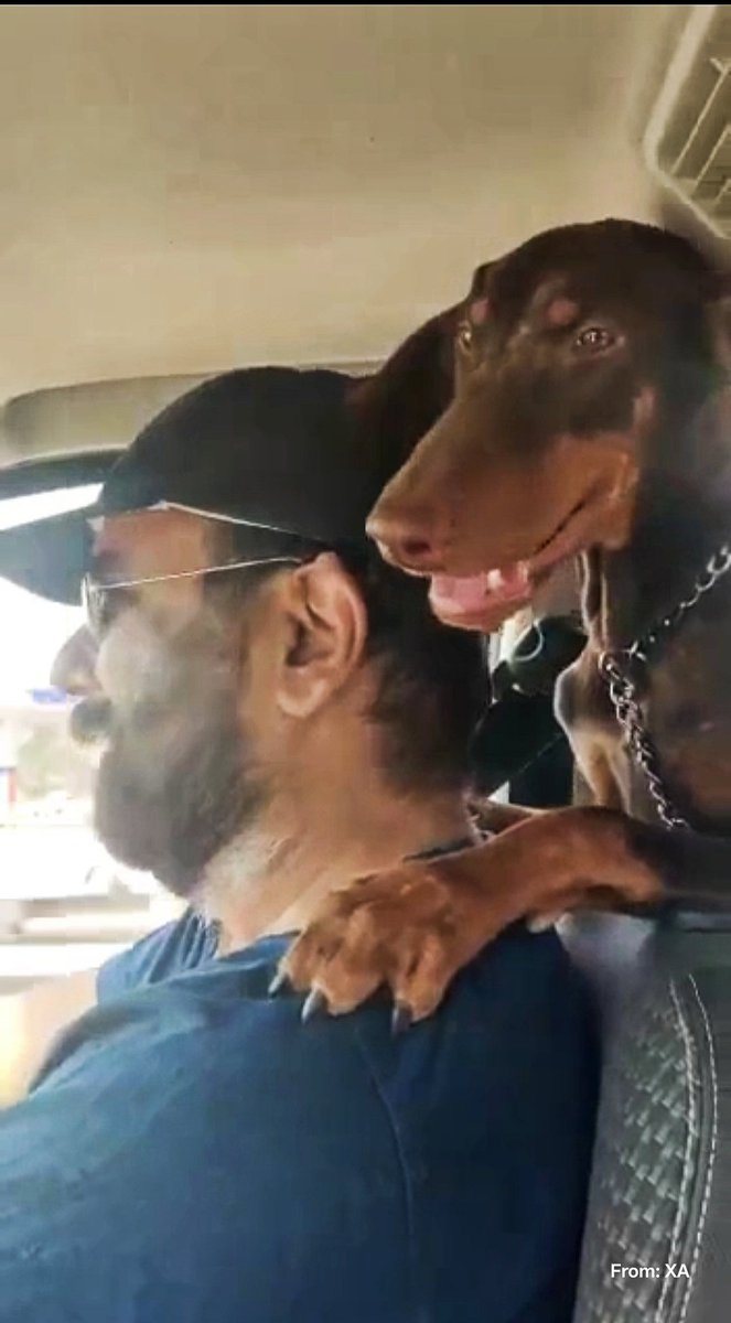 swordsnhammer's tweet photo. If #Trump, #Iran, #NATO can’t settle it, &amp; turn the heat on maybe a loyal dog #Water can. 🐶🥤 Cheers to the #Lovers &amp; the #observers! 
Buck up 💪 the 🌎 gone to dogs 🤣
Good morning 🌅 #MegantaMonday 
BTW Anyone "What is it 🤔 🗣️🤣
 🎶 
https://t.co/Z6jS68Pvc8 https://t.co/KYmIJ93IRU