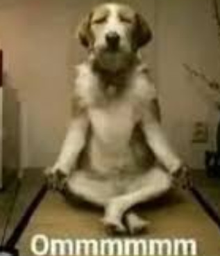 Commatose tweet media