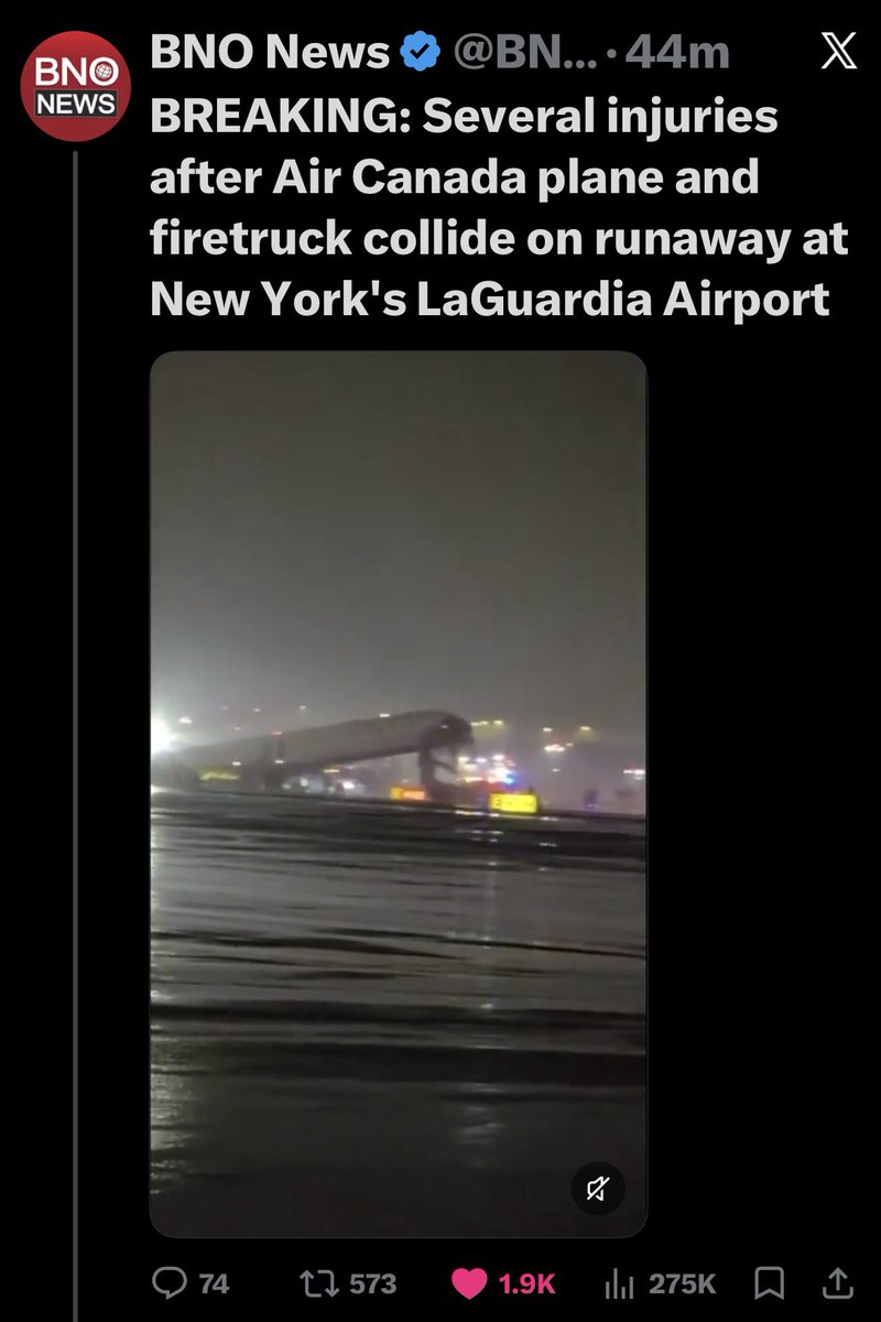 Dede Kotler tweet media