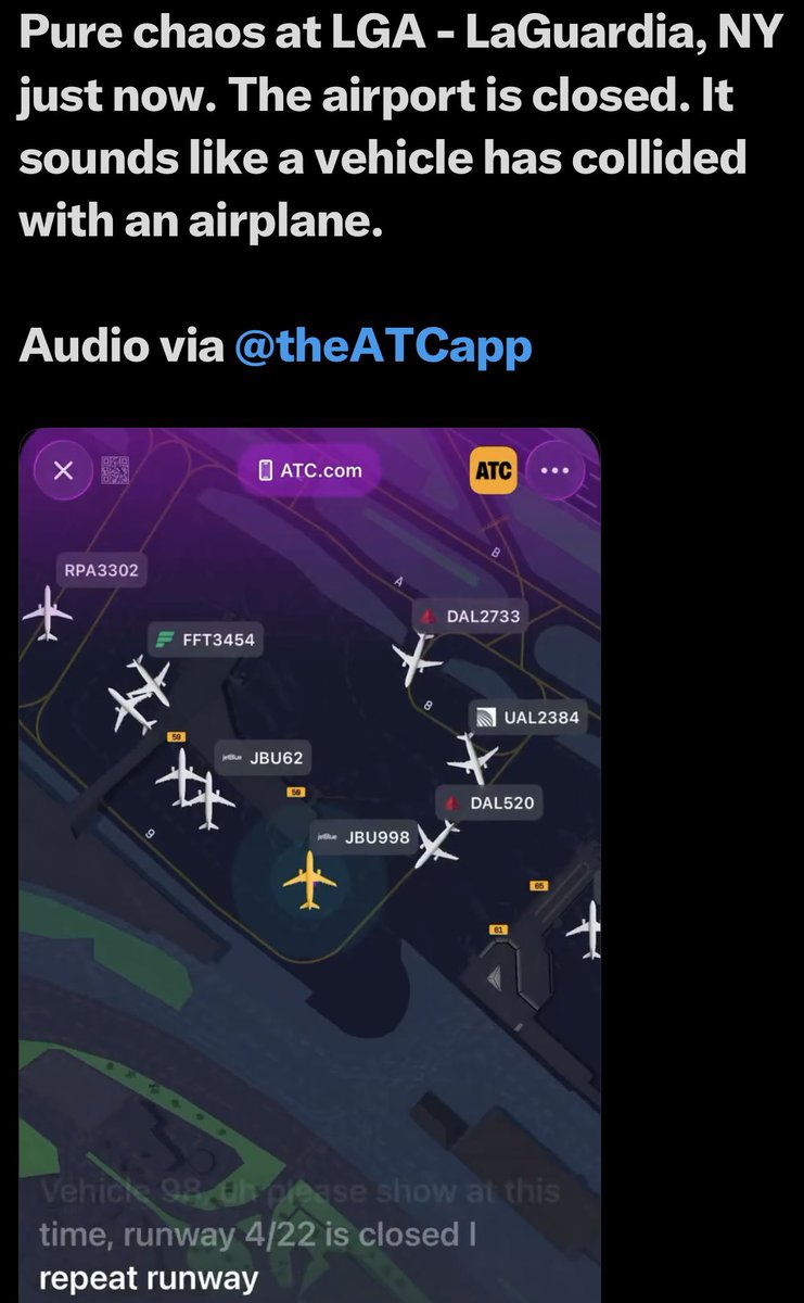 Dede Kotler tweet media