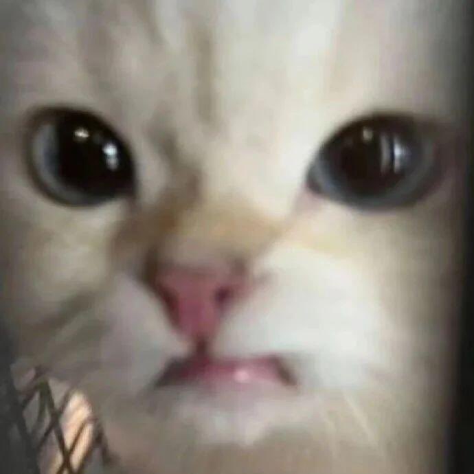 소은이 tweet media