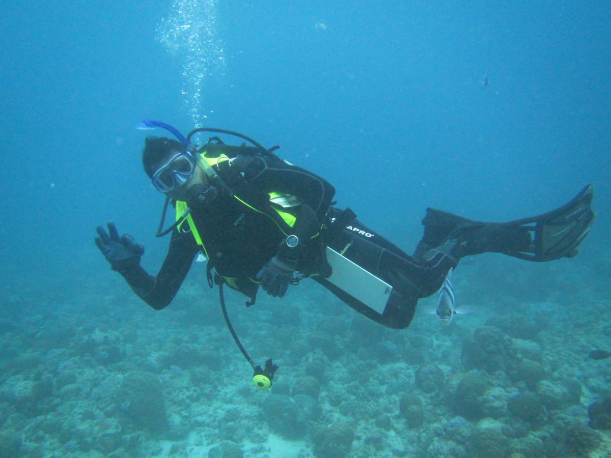 Kate Chamley tweet media