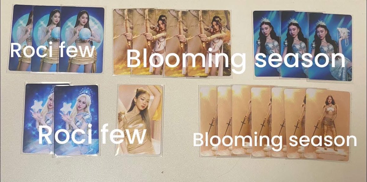 BLOOMING SEASON tweet media