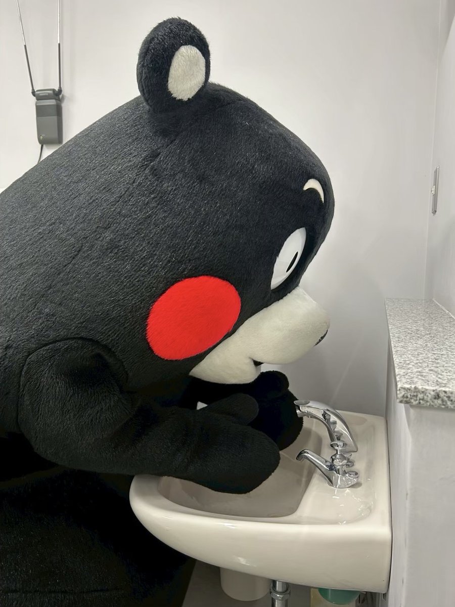 くまモン【公式】 tweet media