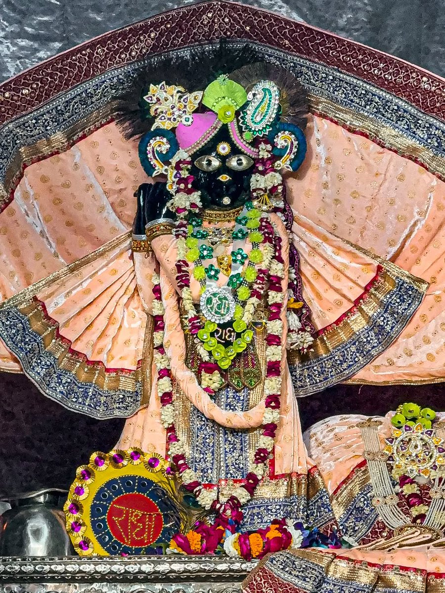 ठाकुर श्री बांके बिहारी लाल जू 🌸