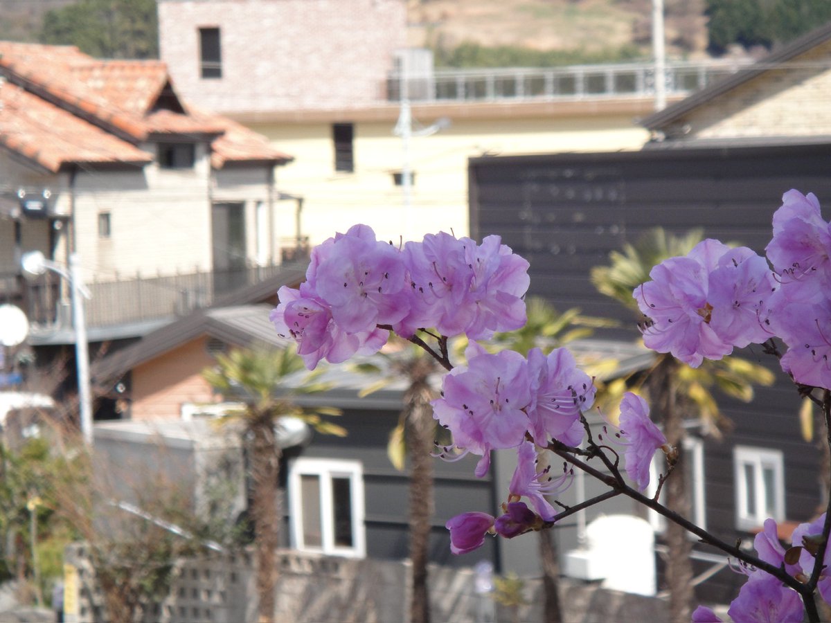 백설기콩떡🍮🍨 tweet media