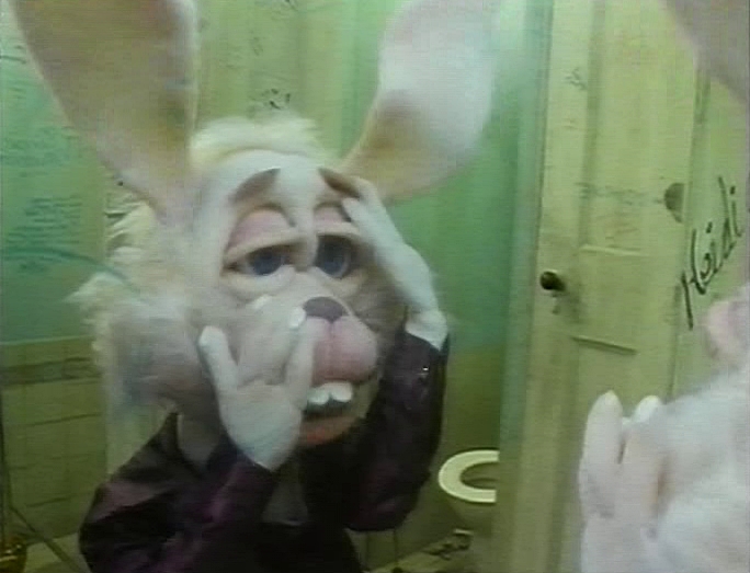 Barry P. tweet media