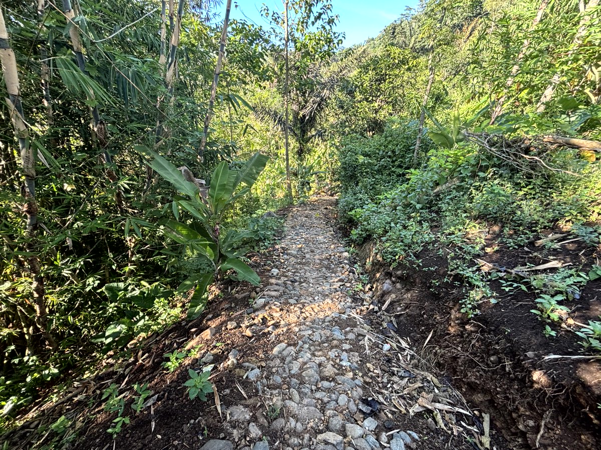 dr. ir. generaal BD Jo de Coeck tweet media