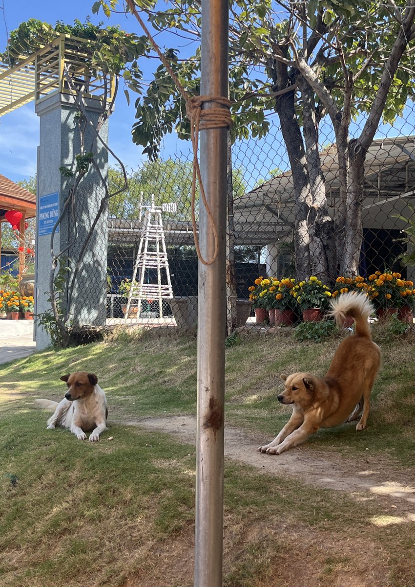 깨소금 tweet media