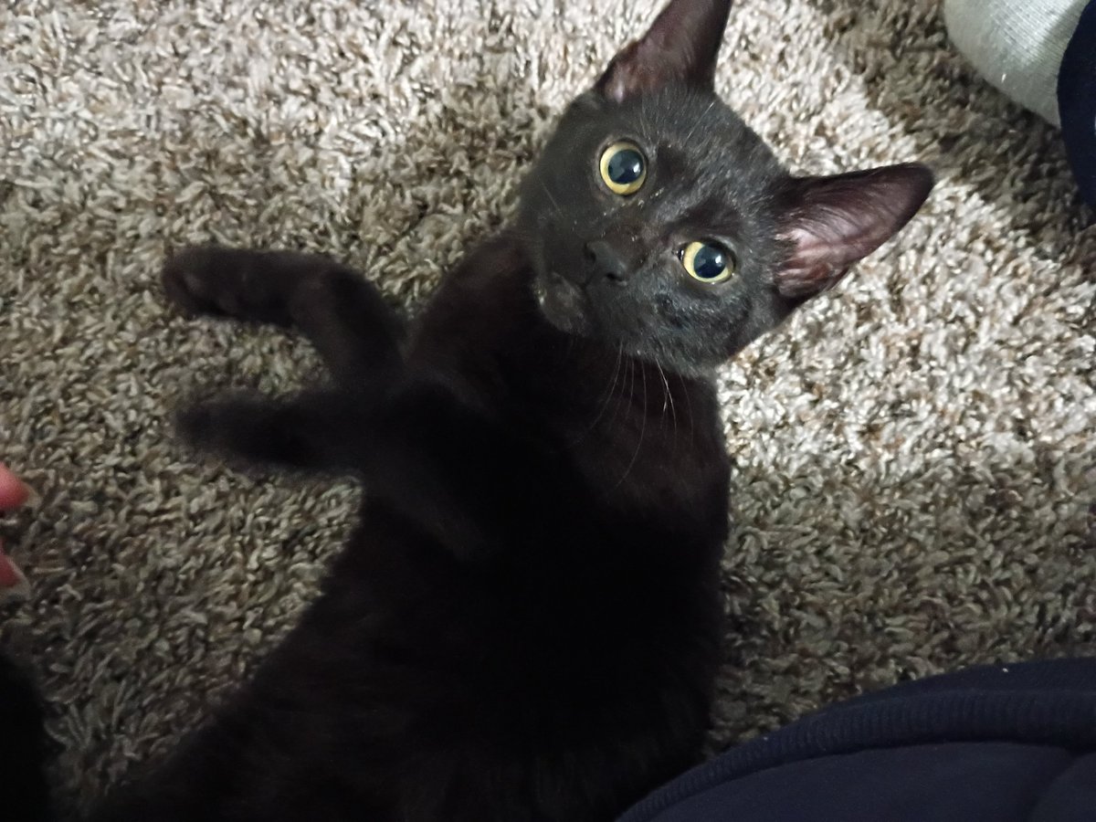 Rubylicious 🍀 tweet media