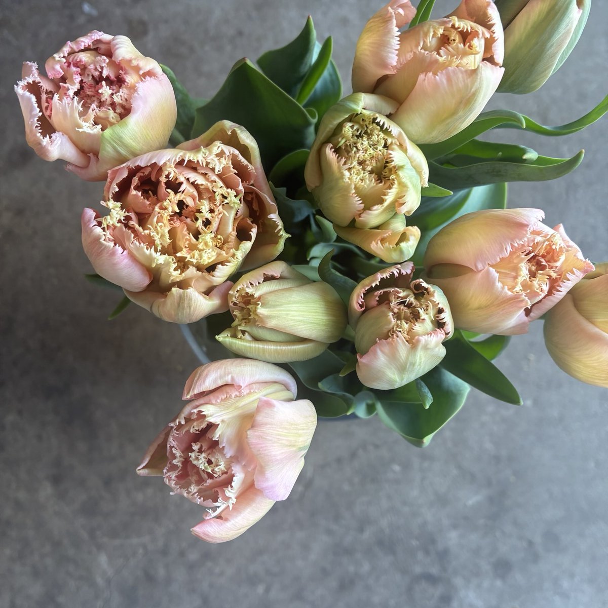 d`ici peu tweet media