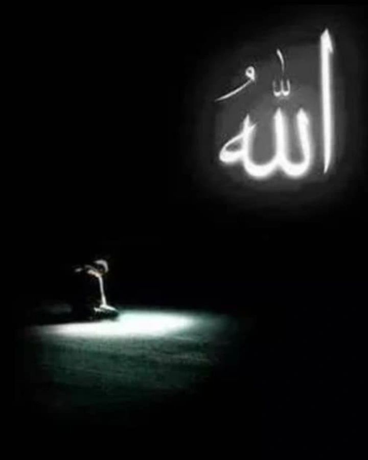 Mêryêm...🇵🇸 tweet media