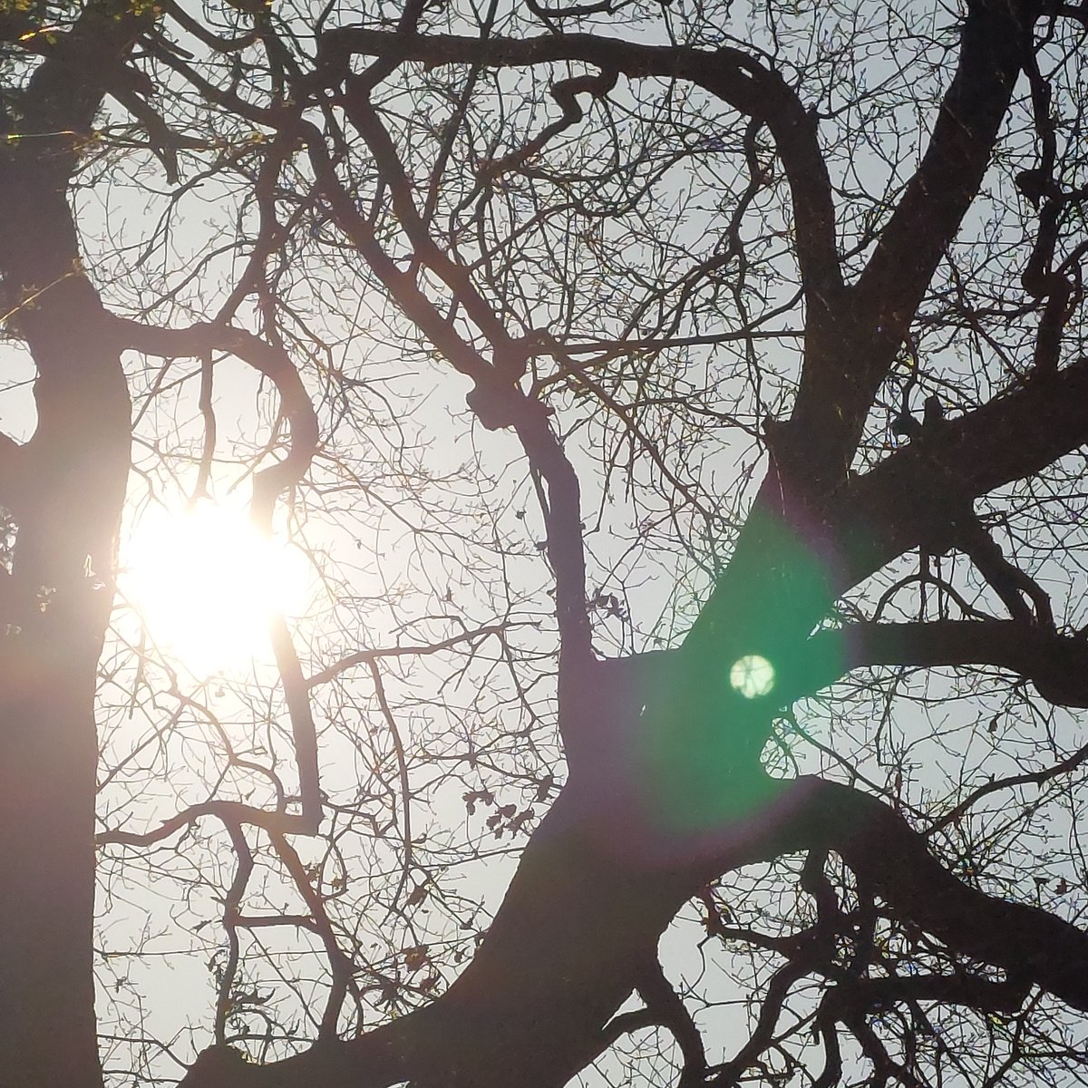 marthabumbartha.supra ⁸ 🧬 tweet media