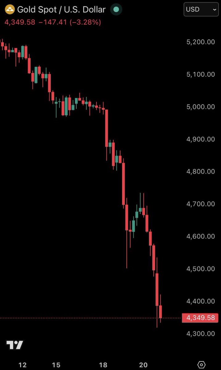 Gordon 🐂 tweet media