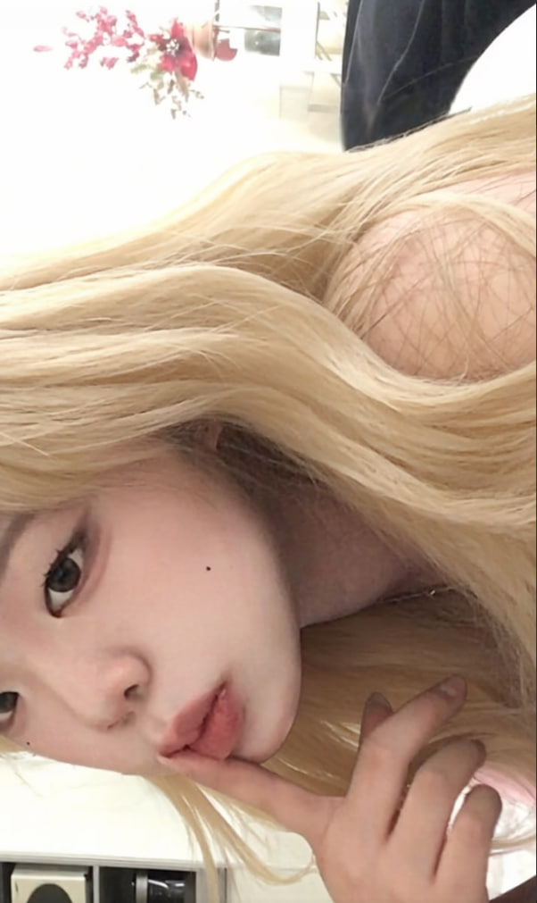 이름을 추가해주세요. tweet media