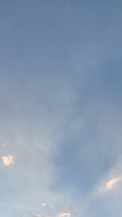 🐔🐤丼(募集垢) tweet media