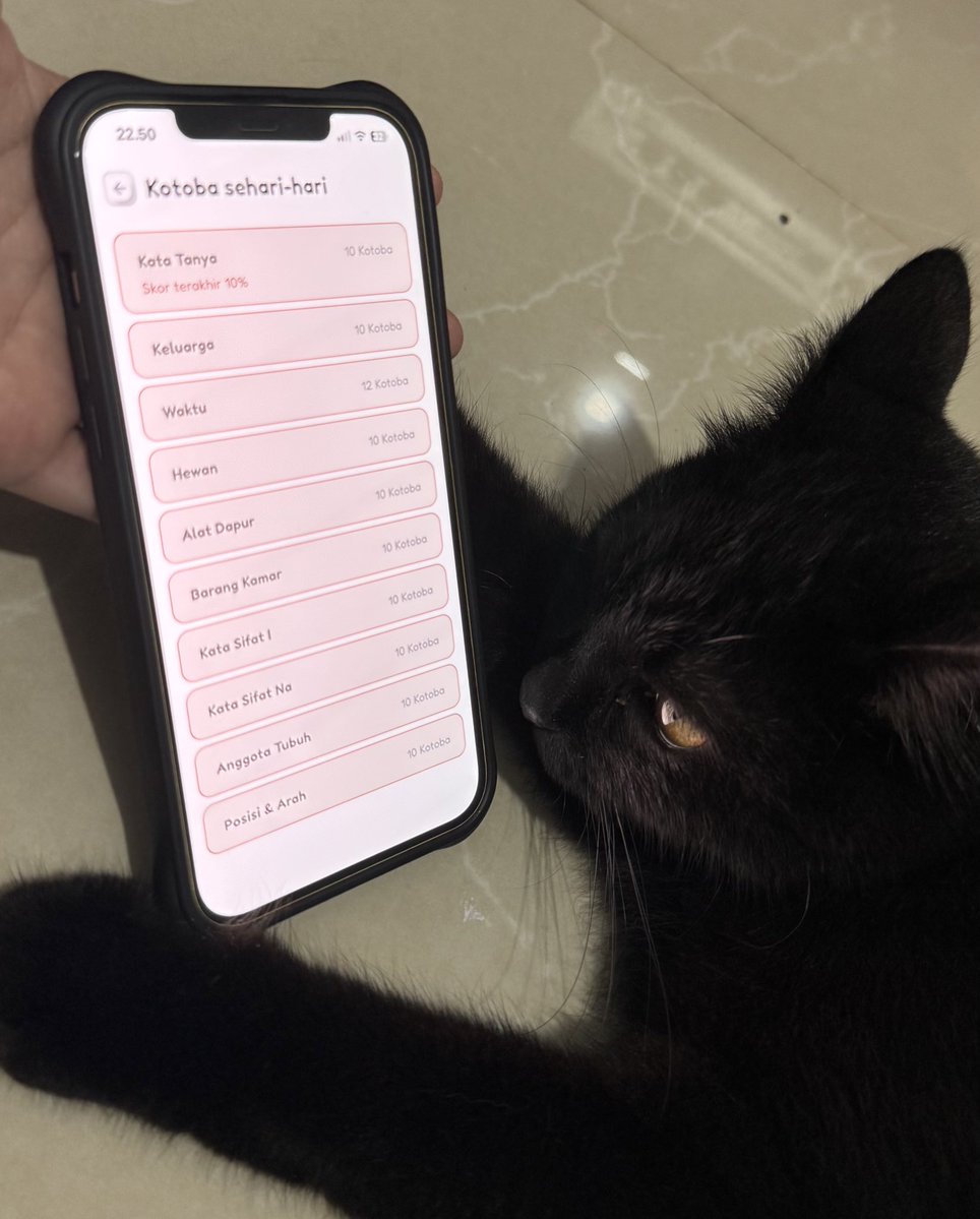 Tanehongo tweet media