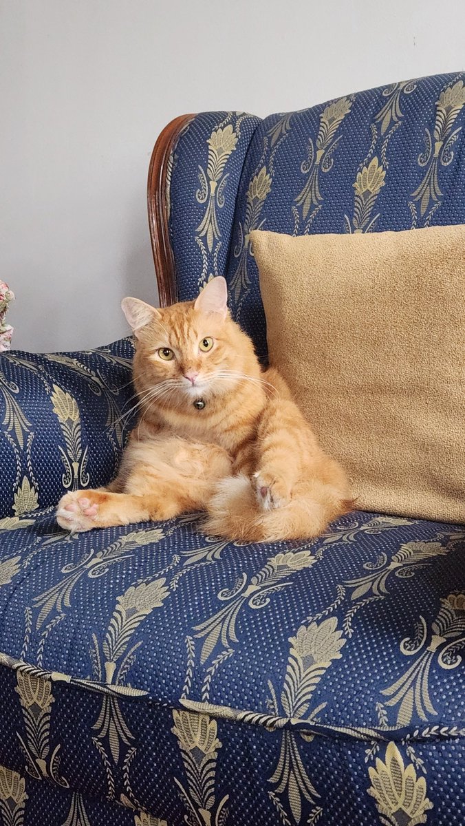 Blacyats tweet media