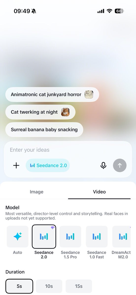 AnqiRocks tweet media