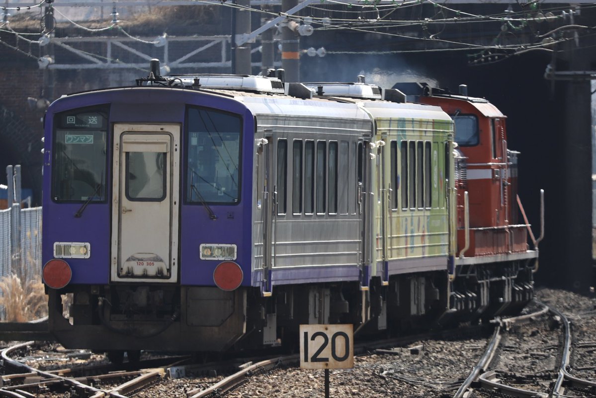 西のカモレ tweet media