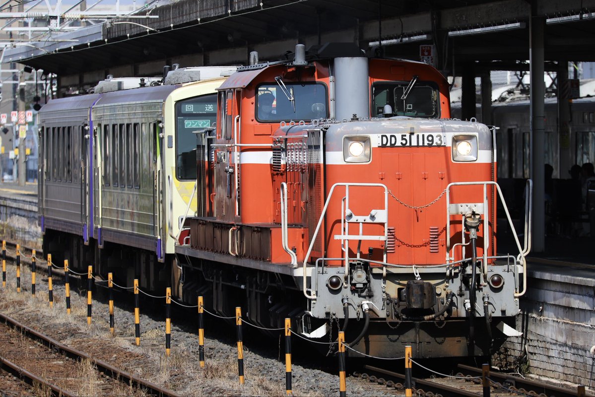 西のカモレ tweet media