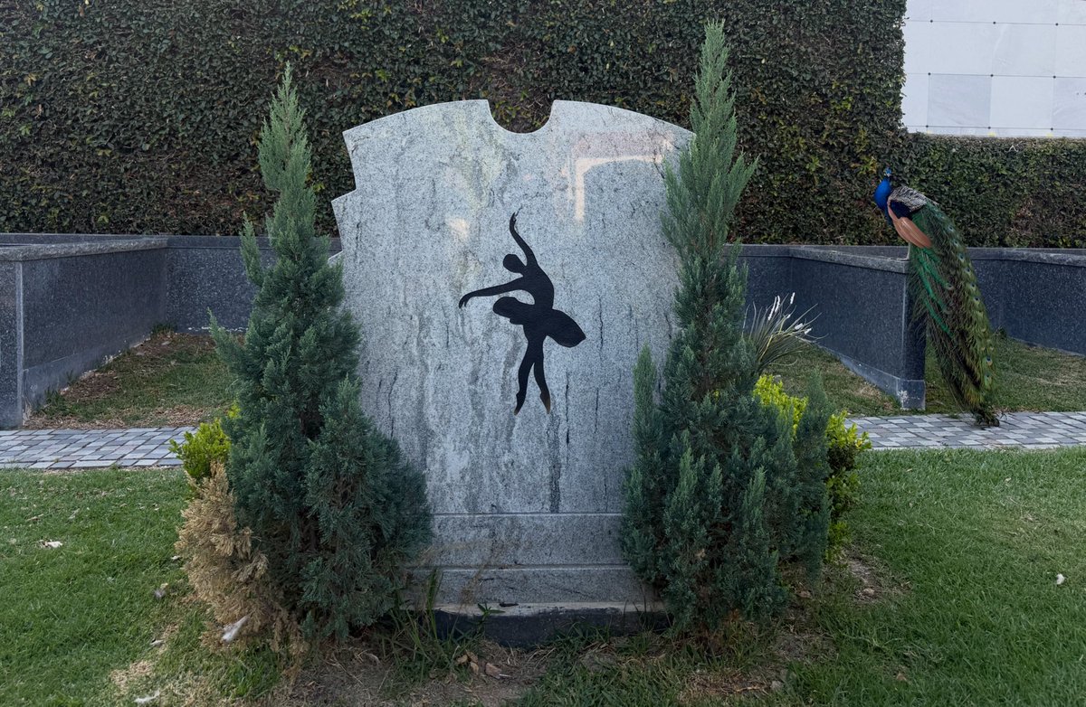 Corrine Ciani tweet media