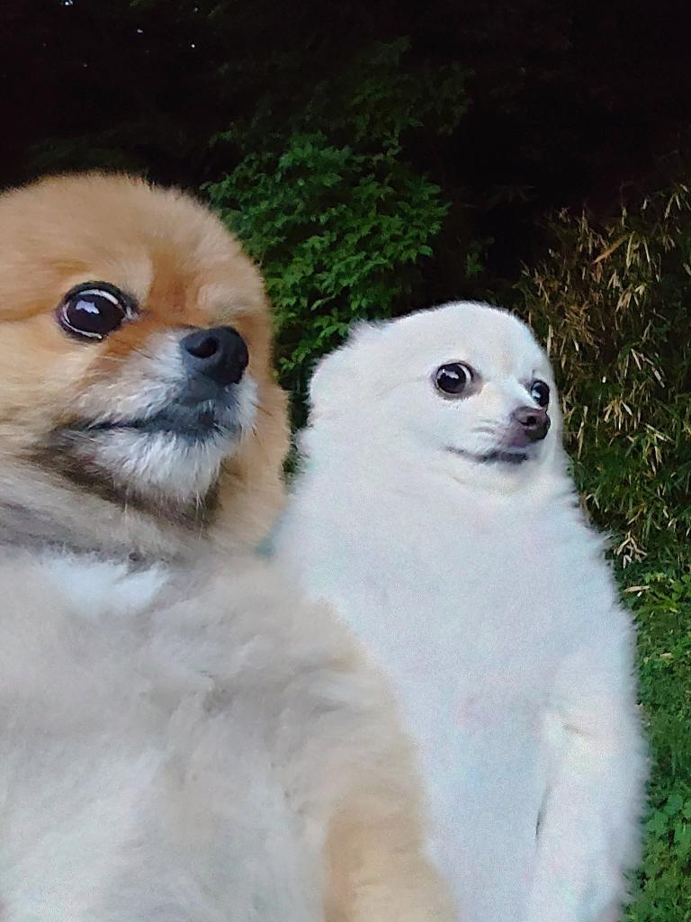 MUㅡRI(곰아재)📷 tweet media