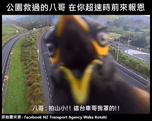 晴天神奈@兩聲類Vtuber tweet media