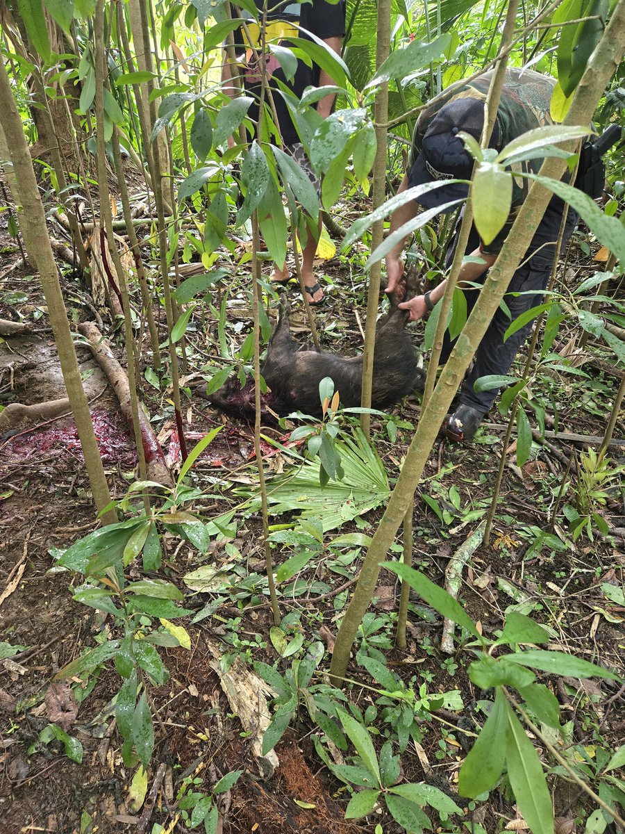 Punished Billy tweet media