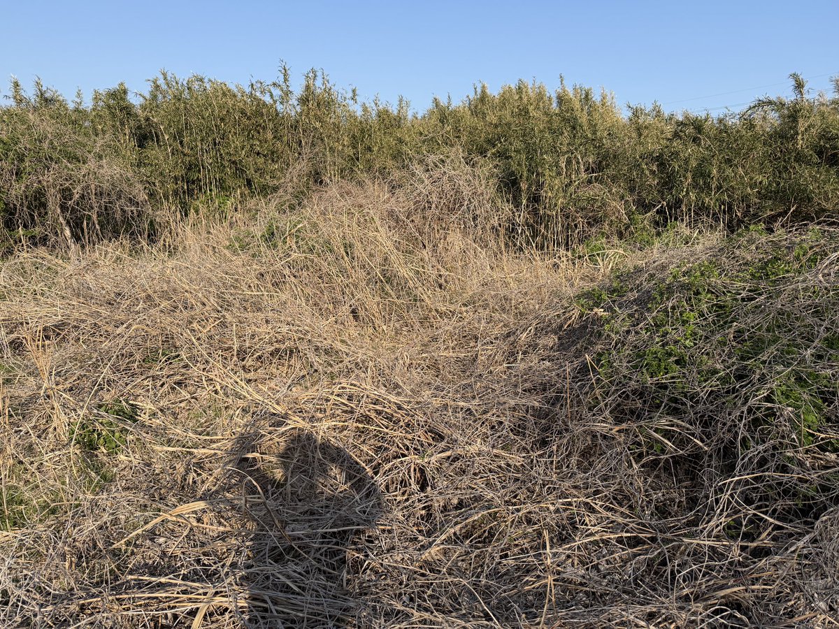 ホワイトベース公式　バイク tweet media