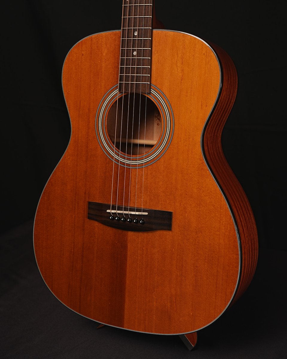 Aria Guitars tweet media