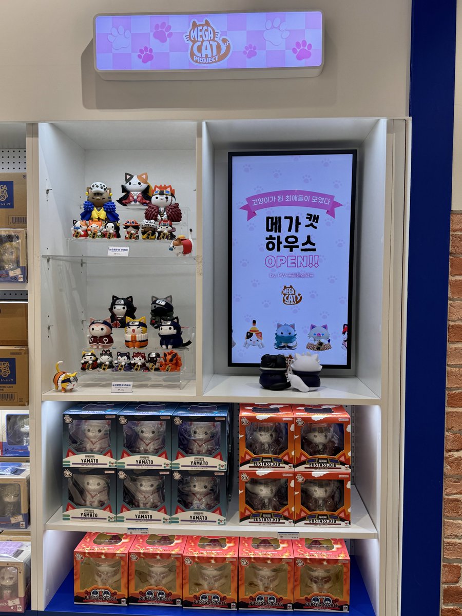 메가하우스 홍대본점 tweet media