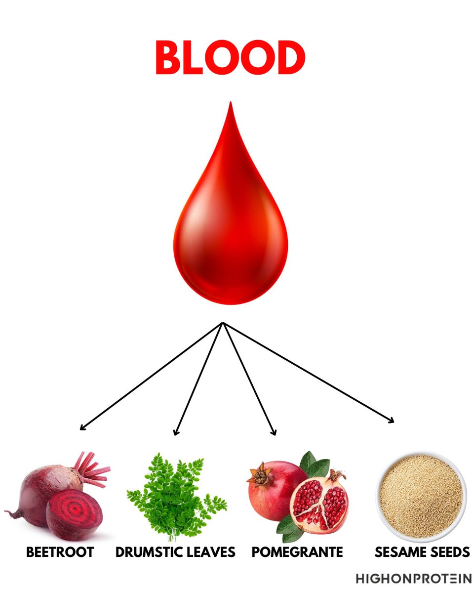 Fitness Doctor 🩺 tweet media