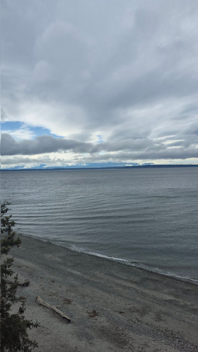 Aspen 🇨🇦 🔜 fwa tweet media