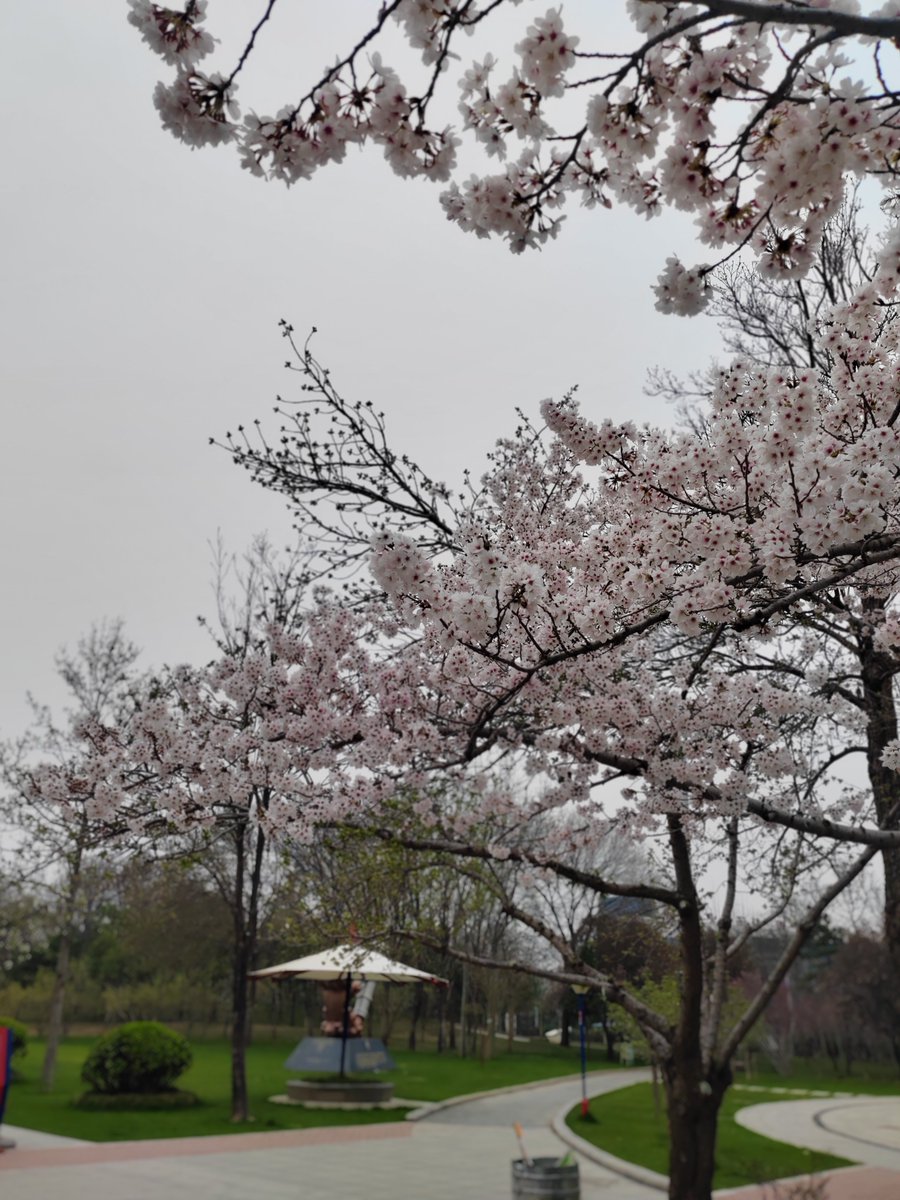 Susan（互fo） tweet media