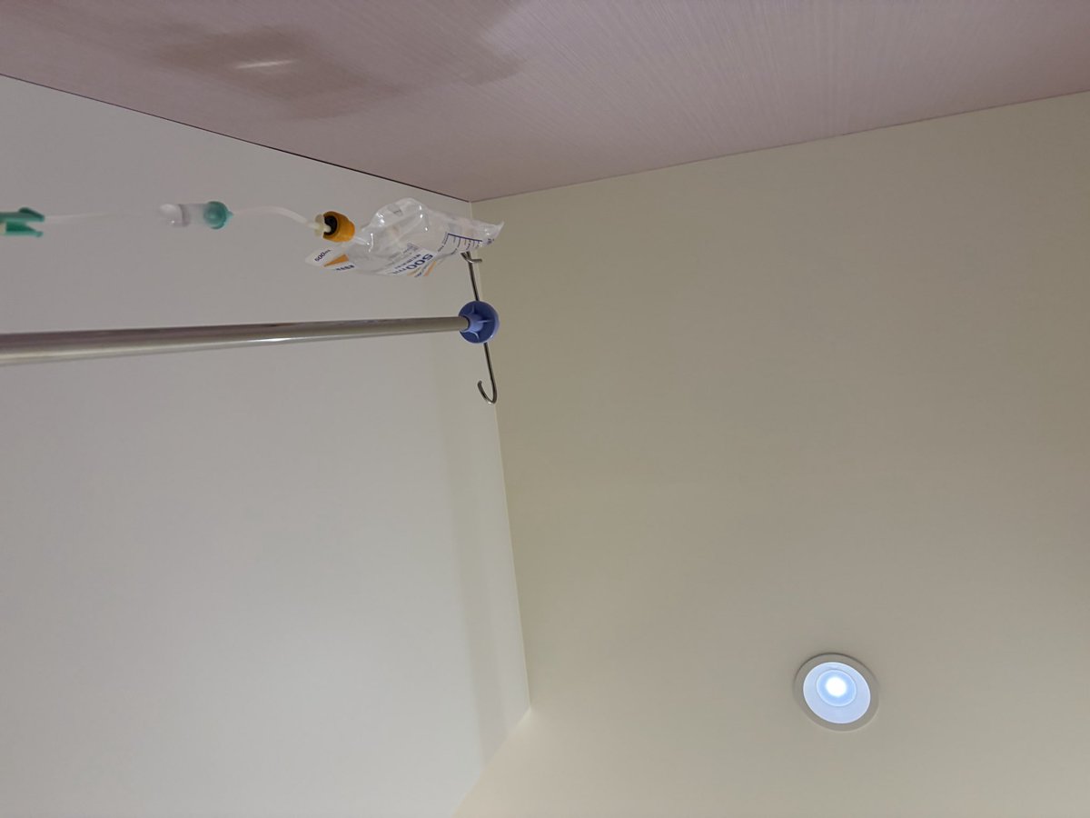 🍄森野　叉焼🐊 tweet media