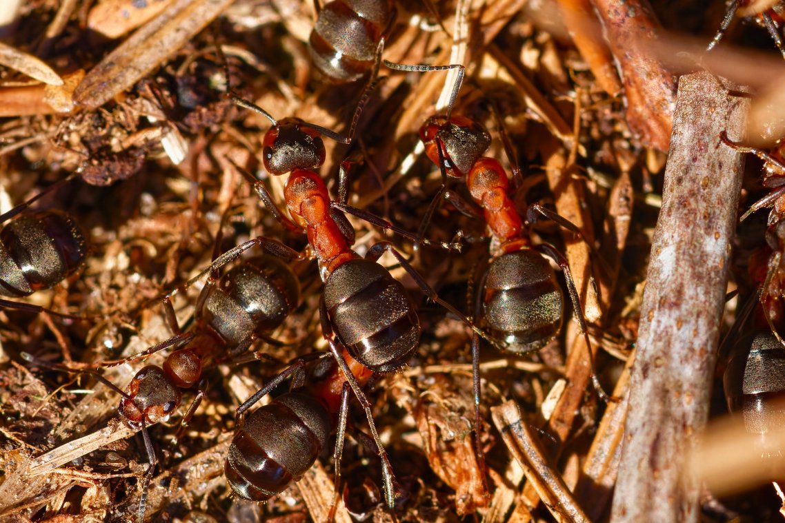 Quint&Quer tweet media