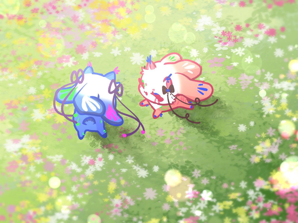 모로 였던것 tweet media