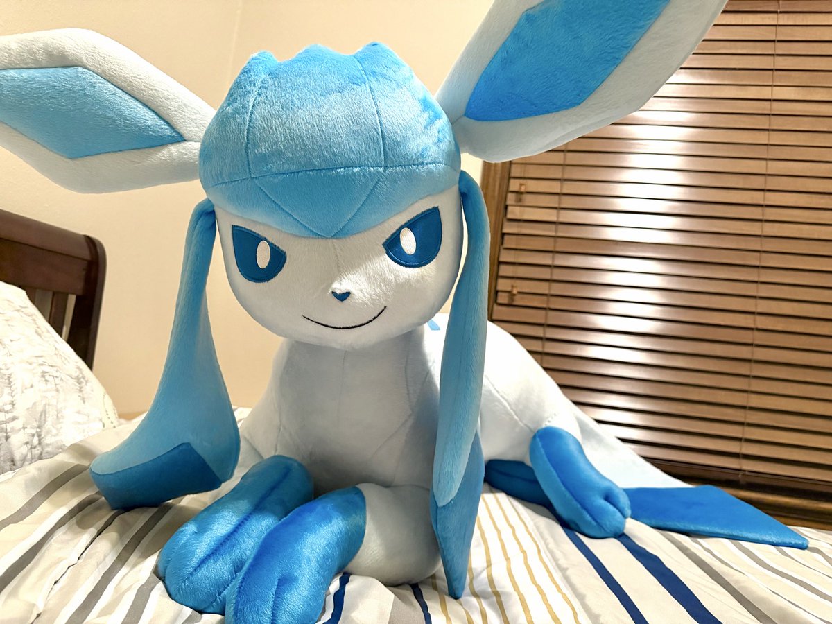 シンダリッテン tweet media