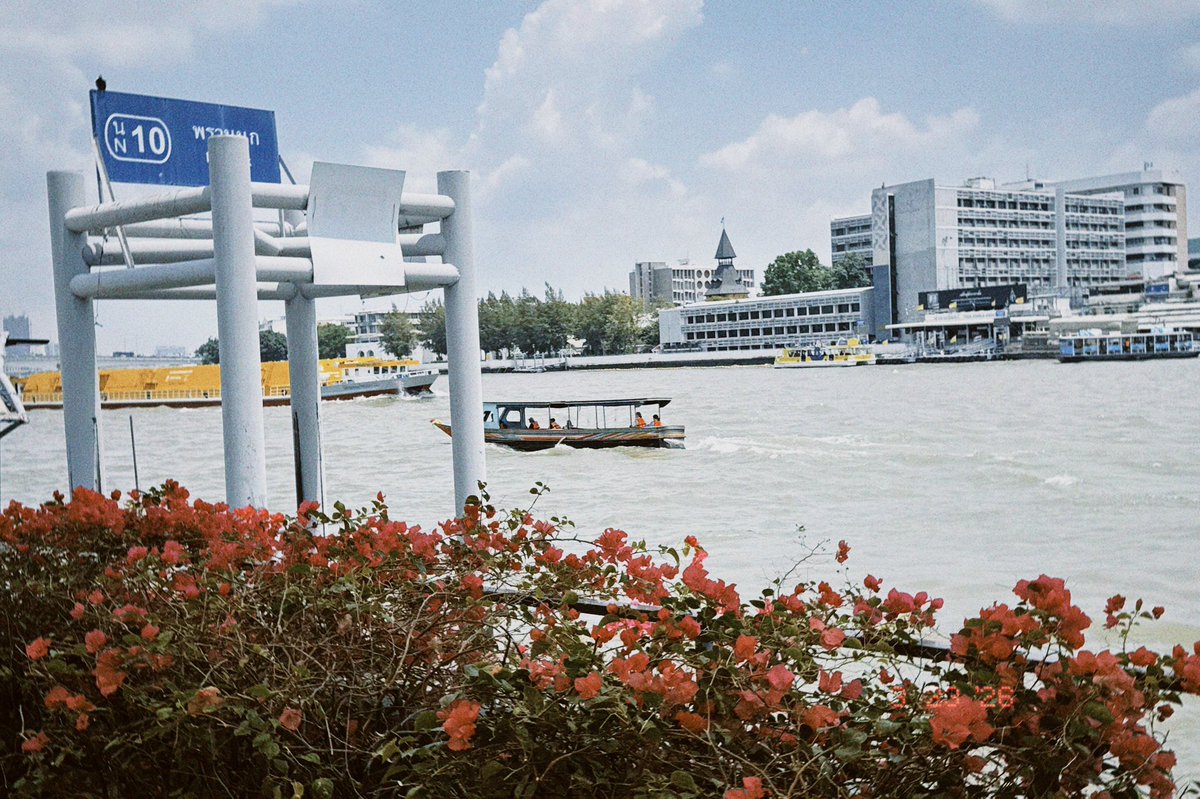 meticulous tweet media