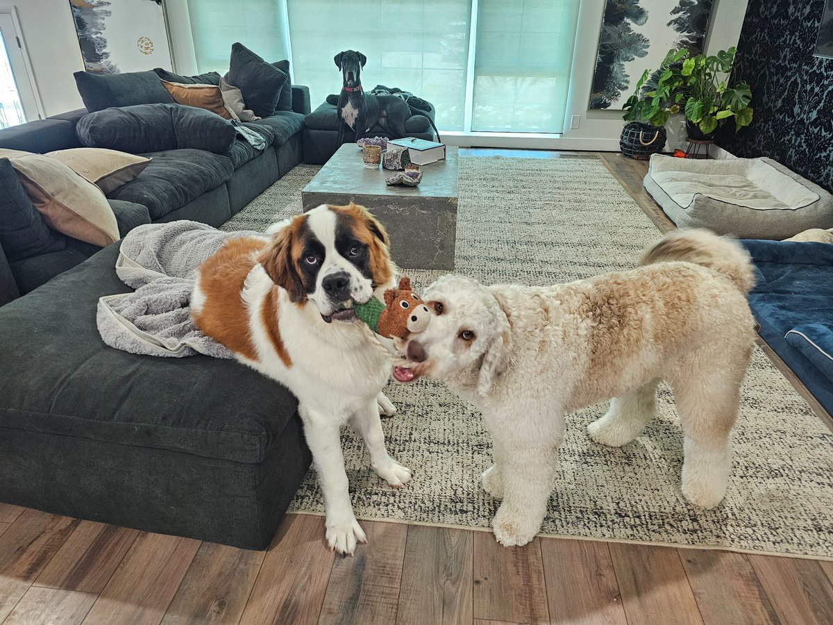 Heather. tweet media